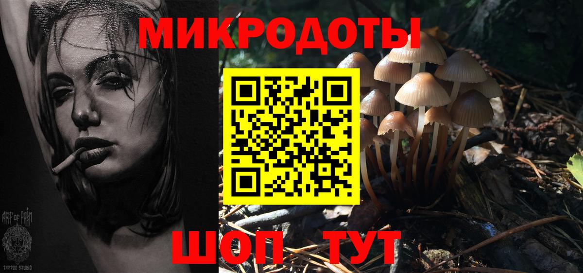 Галлюциногенные грибы GOLDEN TEACHER  Псилоцибиновые грибы MAGIC MUSHROOMS  Вход с VPN  Орск 